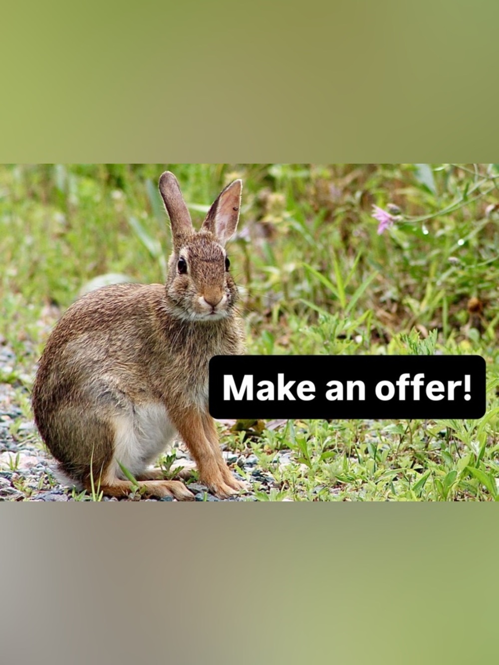 Open to offers!